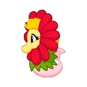 Gerbera Seapony